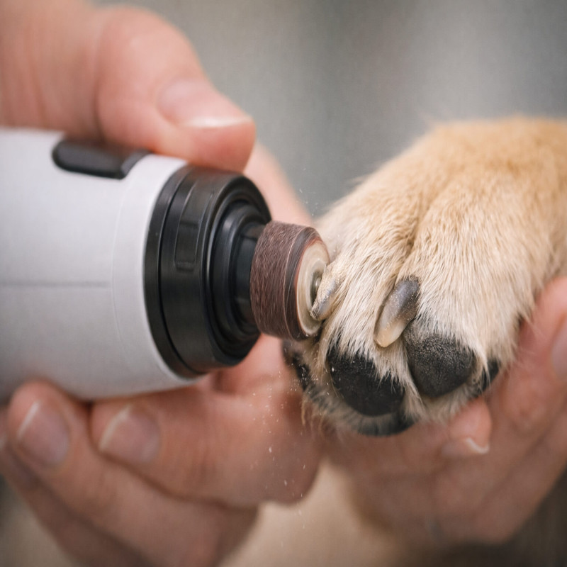 How Does a Dog Nail Grinder Work