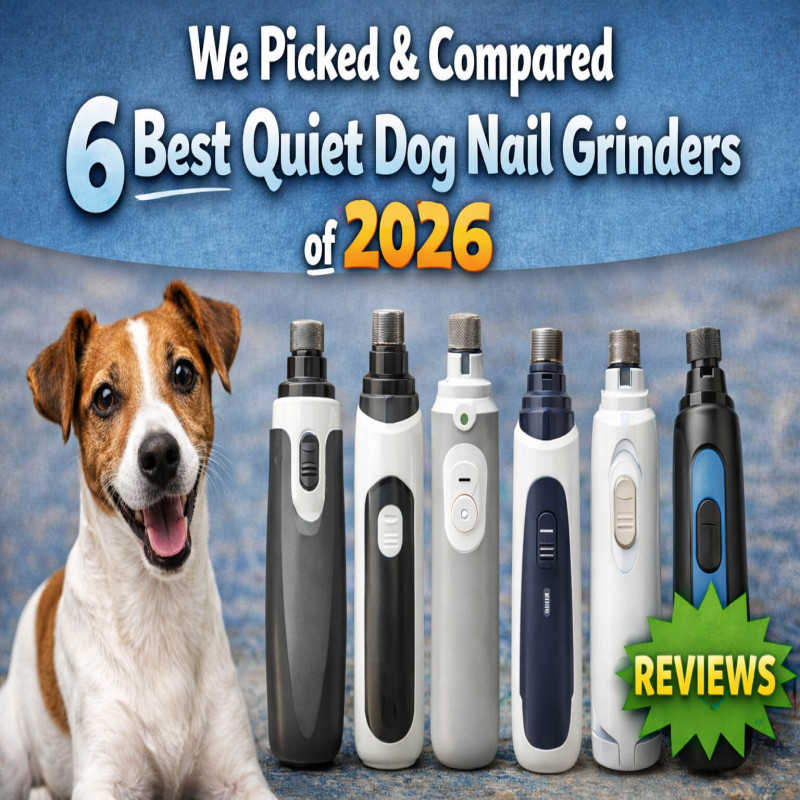 We Picked & Compared 6 Best Quiet Dog Nail Grinders of 2026